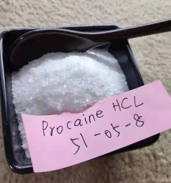 Procaine Hydrochloride / Procaine HCl CAS 51-05-8