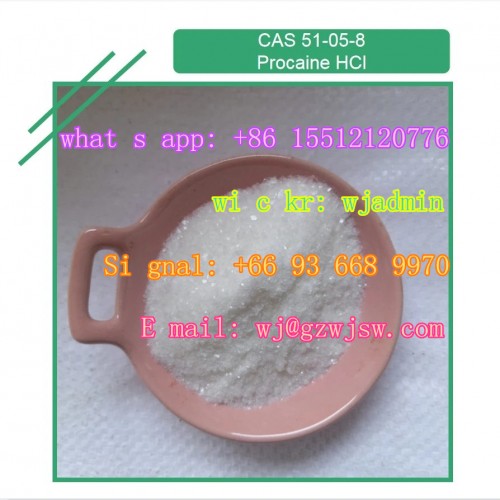 Hot Selling 99% Purity Procaine Hydrochloride / Procaine HCl CAS 51-05-8 with Factory Price