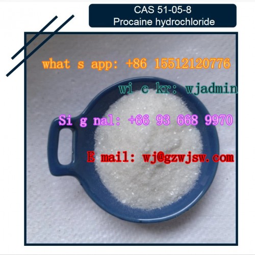 Hot Selling 99% Purity Procaine Hydrochloride / Procaine HCl CAS 51-05-8 with Factory Price