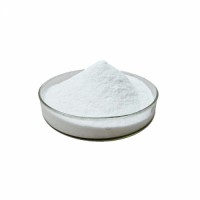 2,3-Dibromosuccinic acid 99% White crystalline powder CAS No 526-78-3 Dideu