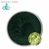 spirulina 99% Green powder  Lanshan