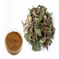 Dandelion Extract 5% brown powder  Finutra Biotech Co., Ltd