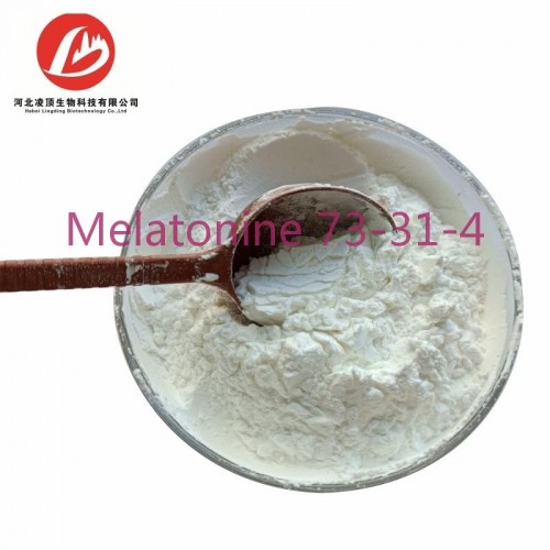 Anti-Aging Medication 99% Purity Melatonine CAS 73-31-4 Melatonin for Well Sleep
