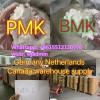 Manufacturer supply New Pmk Oil /Pmk 28578-16-7 pmk powder with Fast and Guarantee Delivery