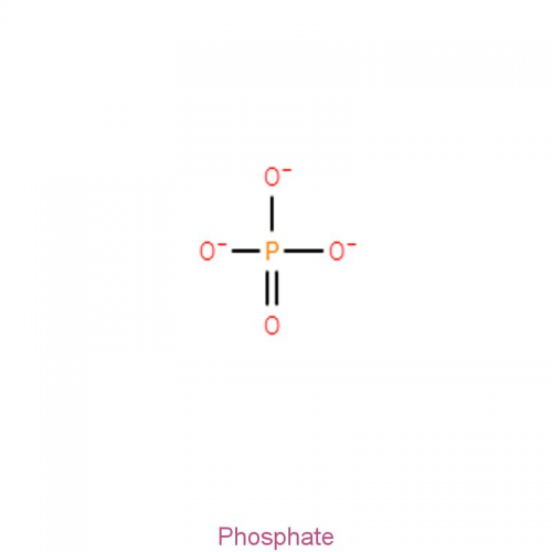 Phosphate powder Food grade 99% White Powder cas 264888-19-9 Evergreen EGC-Phosphate