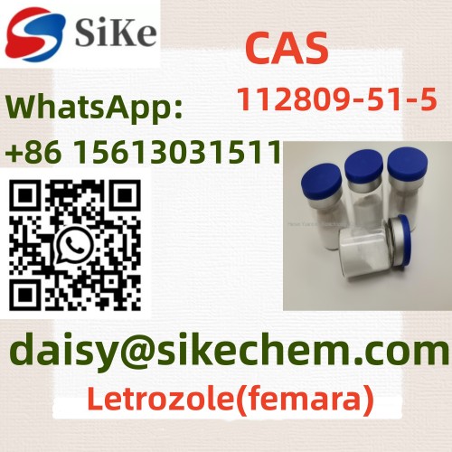 CAS	112809-51-5	Letrozole(femara)