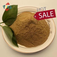 Wuhan hhd Weight Loss 50% Chlorogenic Acids Green Coffee Bean Extract