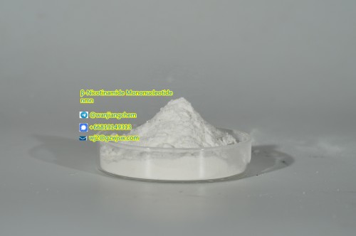 Anti-Aging Nmn β -Nicotinamide Mononucleotide with Top Quality CAS.1094-61-7 Nmn