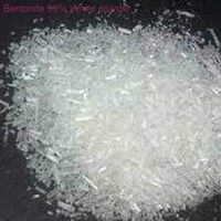 Bentonite 99% White powder 99%