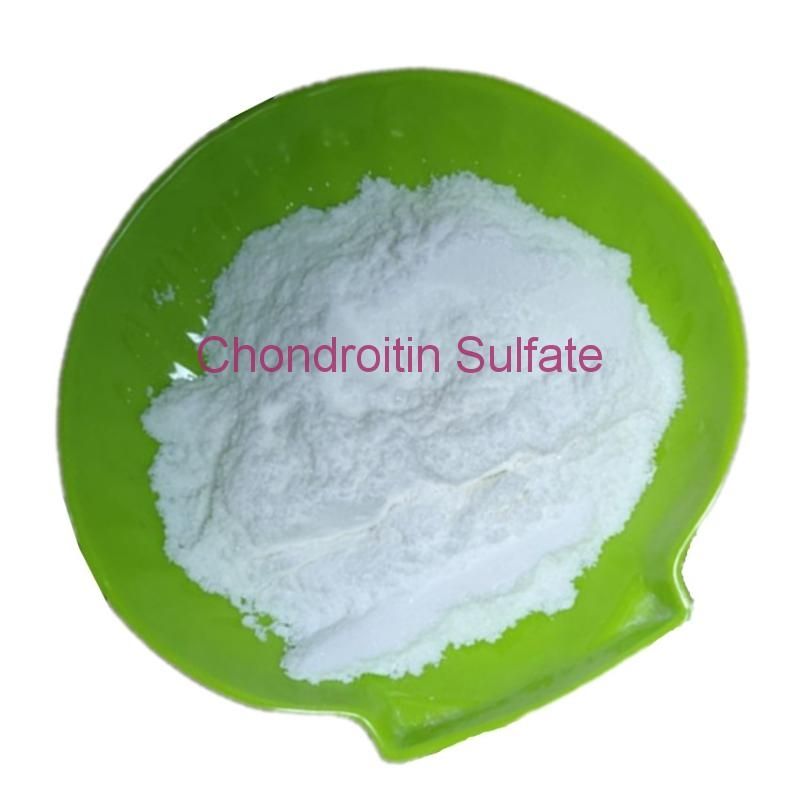 Chondroitin Sulfate 99% White Powder cas 9007-28-7 Chondroitin sulfate