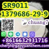 Factory price CAS 1379686-29-9 SR9011 99% purity