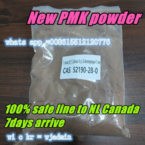 Hot selling Netherland Germany Delivery BMK Pmk Powder Oil Pmk Conversion CAS 28578-16-7 /52190-28-0 / 20320-59-6 Pmk bmk