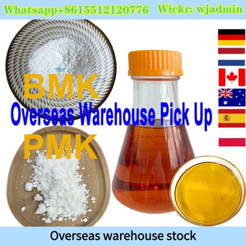 Wanjiang supply white high purity powder PMK CAS 28578-16-7 safe delivery pmk powder 100% Safe customs clearance