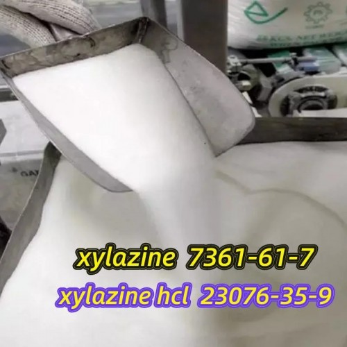 100% Safe Delivery Xylazine HCl Xylazine Powder CAS 7361-61-7 CAS 23076-35-9 Xylazine Hydrochloride with High Quality