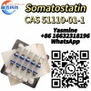 Somatostatin 10mg Vial Sale Peptides CAS 51110-01-1 C76H104N18O19S2