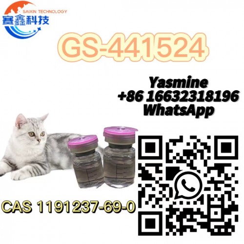 fip cat GS441524 / gs-441524 / gs 441524 fipv treatment China Factory Supply