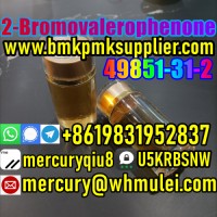China supplier 2-Bromo-1-phenyl-1-pentanone CAS 49851-31-2 Bromovalerophenone