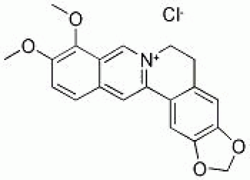 API Berberine hydrochloride Berberine hcl