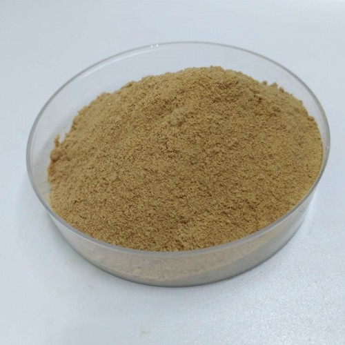Paeonia Lactiflora Extract 98% Brown powder  Finutra Biotech Co., Ltd
