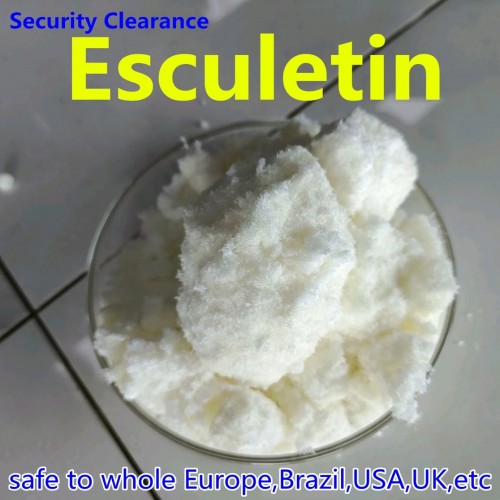 Door to door delivery 99% purity CAS 305-01-1 Esculetin