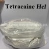 Lidocaine CAS 137-58-6/73-78-9/59-46-1/51-05-8/94-09-7/94-24-6/23239-88-5 with Safe Delivery