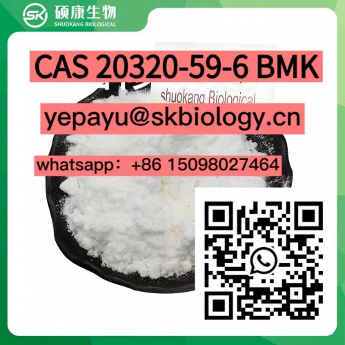 Sample Free New Oil Phenylacetylmalonic Acid Ethylester CAS 20320-59-6 BMK Powder 28578-16-7 Pmk Oil