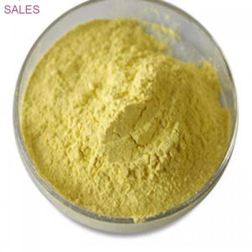 Methyl Methacrylate (MMA) bulk sale     chemicals