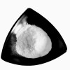 High purity Nicotinamide riboside chloride 99% Powder 23111-00-4 HBGY