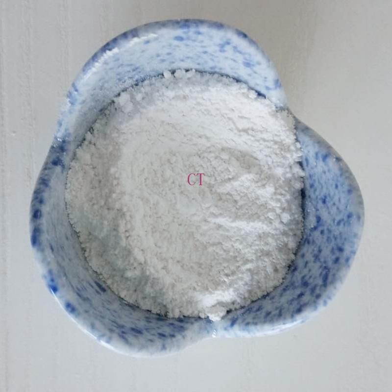 Food Grade High Quality Titanium Dioxide 13463-67-7  99% Powder
