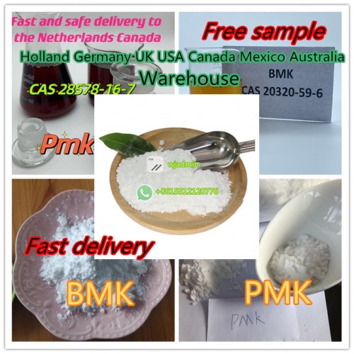BMK Glycidic Acid (sodium salt) Powder 5449-12-7 bmk powder