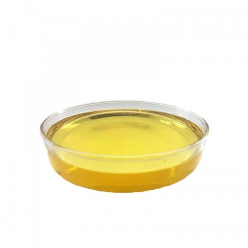 Wholesale Natural Herbal Oil Body Care Forsythia Oil for Medicine