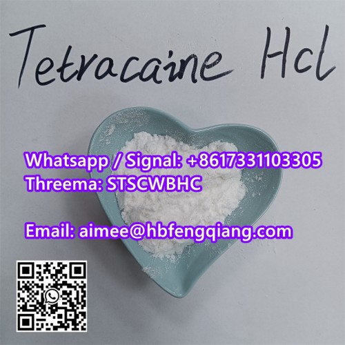 Hot Selling  Anesthetic Tetracaine / Tetracaine HCl Powder to Brazil