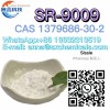 Factory direct sales 99% CAS 1379686-30-2 SR9009 C20H24ClN3O4S White Powder With Best Price