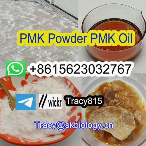High Purity PMK Powder PMK Oil