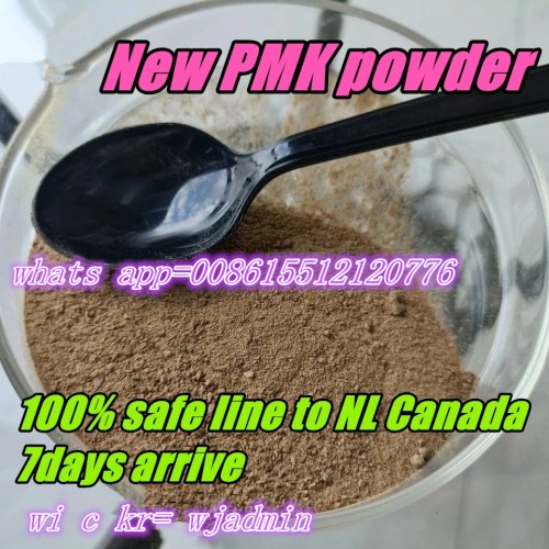 99% Purity 1-(benzo[d][1,3]dioxol-5-yl)-2-bromopropan-1-one Pmk Powder CAS 52190-28-0 with Fast and Safe Delivery PMK
