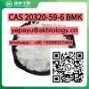 Pmk Ethyl Glycidate BMK Oil Powder Pmk Chemical CAS 20320-59-6/ 28578-16-7 /103-63-9/ 5413-05-8 / 23076-35-9/288573-56-8
