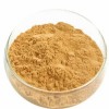 Soya Lecithin Powder (Food Grade)