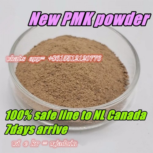 New Pmk Oil /Pmk 28578-16-7 with Fast and Guarantee Delivery 52190-28-0 pmk powder