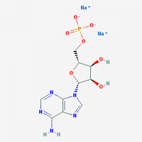 99% Adenosine 5-monophosphate disodium salt/AMP
