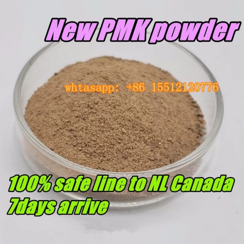 99% Purity Pmk Ethyl Glycidate Oil cas 28578-16-7/20320-59-6/5413-05-8/52190-28-0 BMK Oil bmk powder