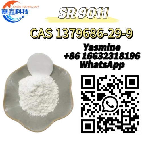 SR9011 CAS 1379686-29-9 C23H31ClN4O3S  hot sale low price high purity fast delivery