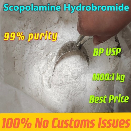 99% purity CAS 114-49-8 Scopolamine hydrobromide