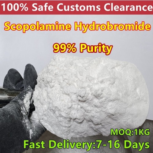 99% purity CAS 114-49-8 Scopolamine hydrobromide