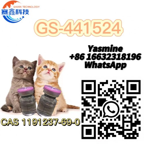 fip cat GS441524 / gs-441524 / gs 441524 fipv treatment China Factory Supply