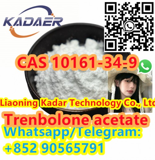 Testosterone Propionate Top quality CAS 57-85-2 with Safe Delivery