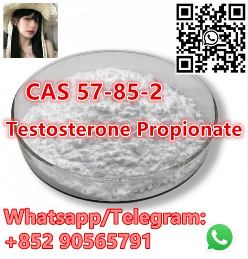 Testosterone Propionate Top quality CAS 57-85-2 with Safe Delivery