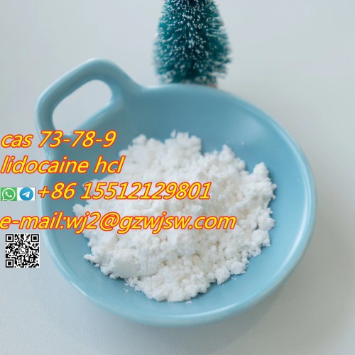 Procaine Hydrochloride / Procaine HCl CAS 51-05-8,whatsapp:+86 15512129801
