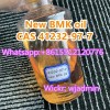 High Oil Yield CAS 41232-97-7 Safe Delivery to Netherlands Germany BMK Oil