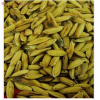 Millet Sprout 99% solid  Pharma;Conutrix