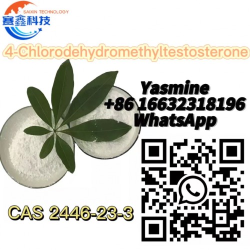China Factory Supplier CAS2446-23-3 C20H27ClO2 Oral turinabol powder 4-Chlorodehydromethyltestosterone